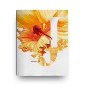 Typograhpy With Red Bird